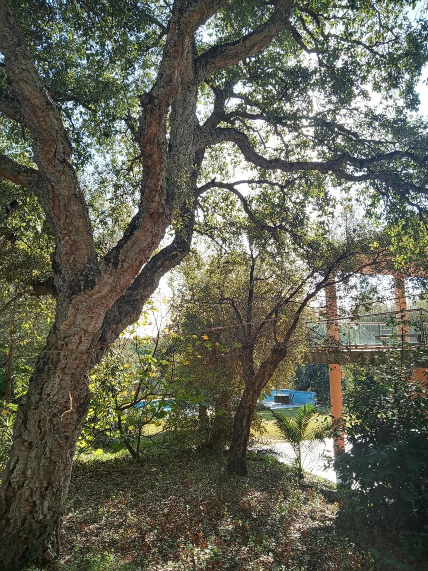 Sotogrande - Estancia En Plena Naturaleza - Abril מראה חיצוני תמונה