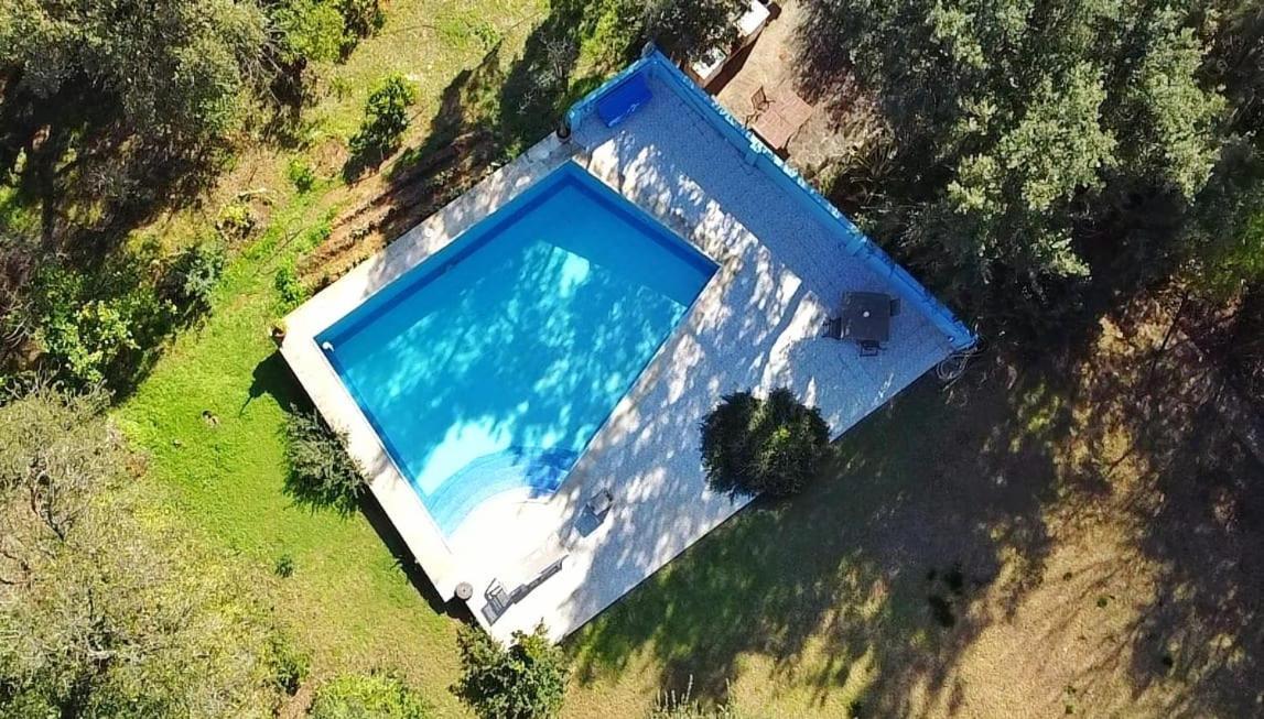 Sotogrande - Estancia En Plena Naturaleza - Abril מראה חיצוני תמונה