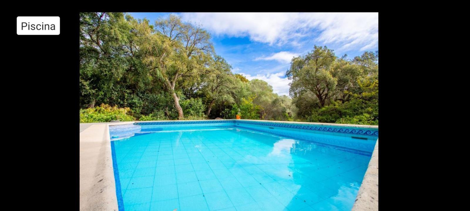 Sotogrande - Estancia En Plena Naturaleza - Abril מראה חיצוני תמונה