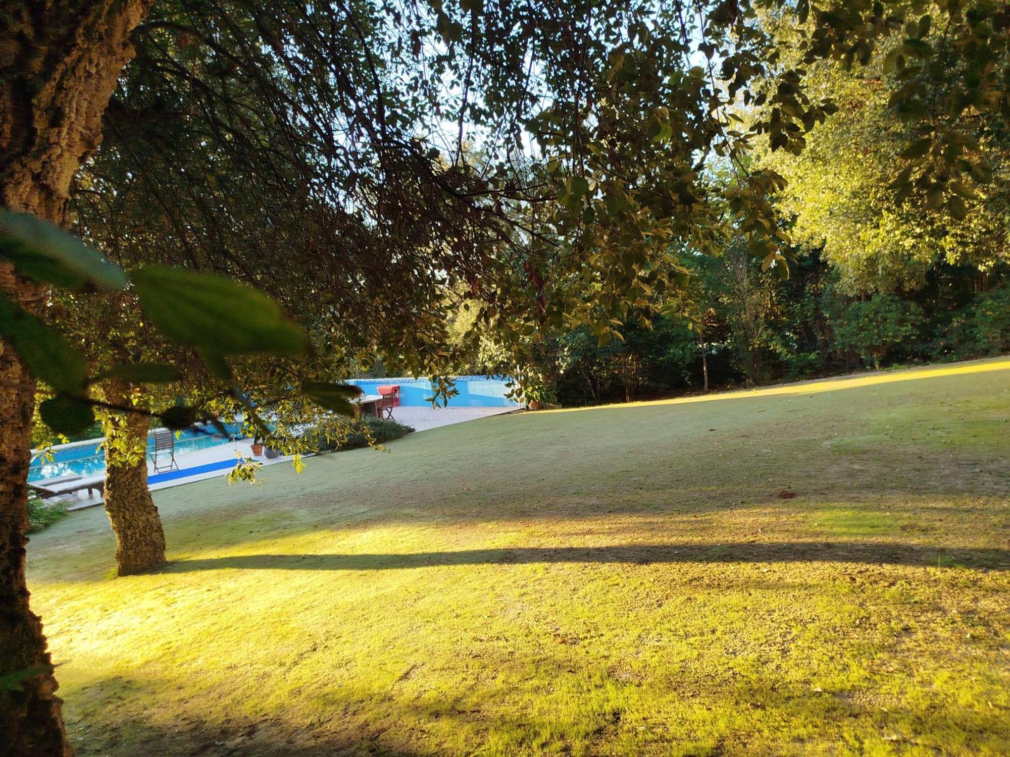Sotogrande - Estancia En Plena Naturaleza - Abril מראה חיצוני תמונה